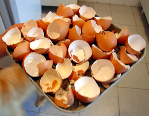 Ovos